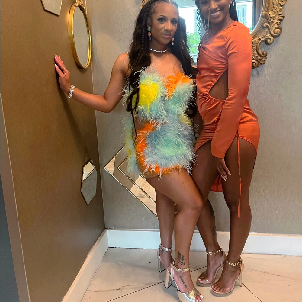 The Doll House fashion original Attia Feather dress!